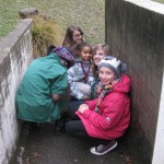 IMG_2561 IMG_2561