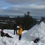 IMG_3004 IMG_3004
