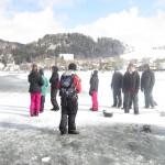 IMG_3071 IMG_3071